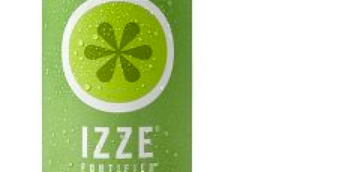 Amazon: 24 IZZE Fortified Sparkling Apple Juice Cans Only $0.66 Each Shipped