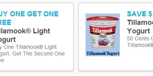 New Buy One Get One Free Tillamook Light Yogurt & $0.50/3 Light Yogurt Coupons