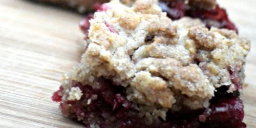 Cranberry Crumb Bars (Perfect Thanksgiving Dessert)