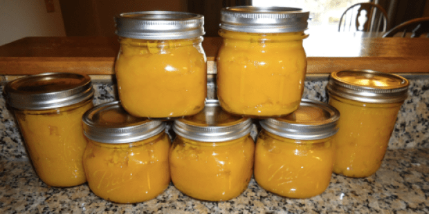 Happy Friday: Homemade Pumpkin Puree