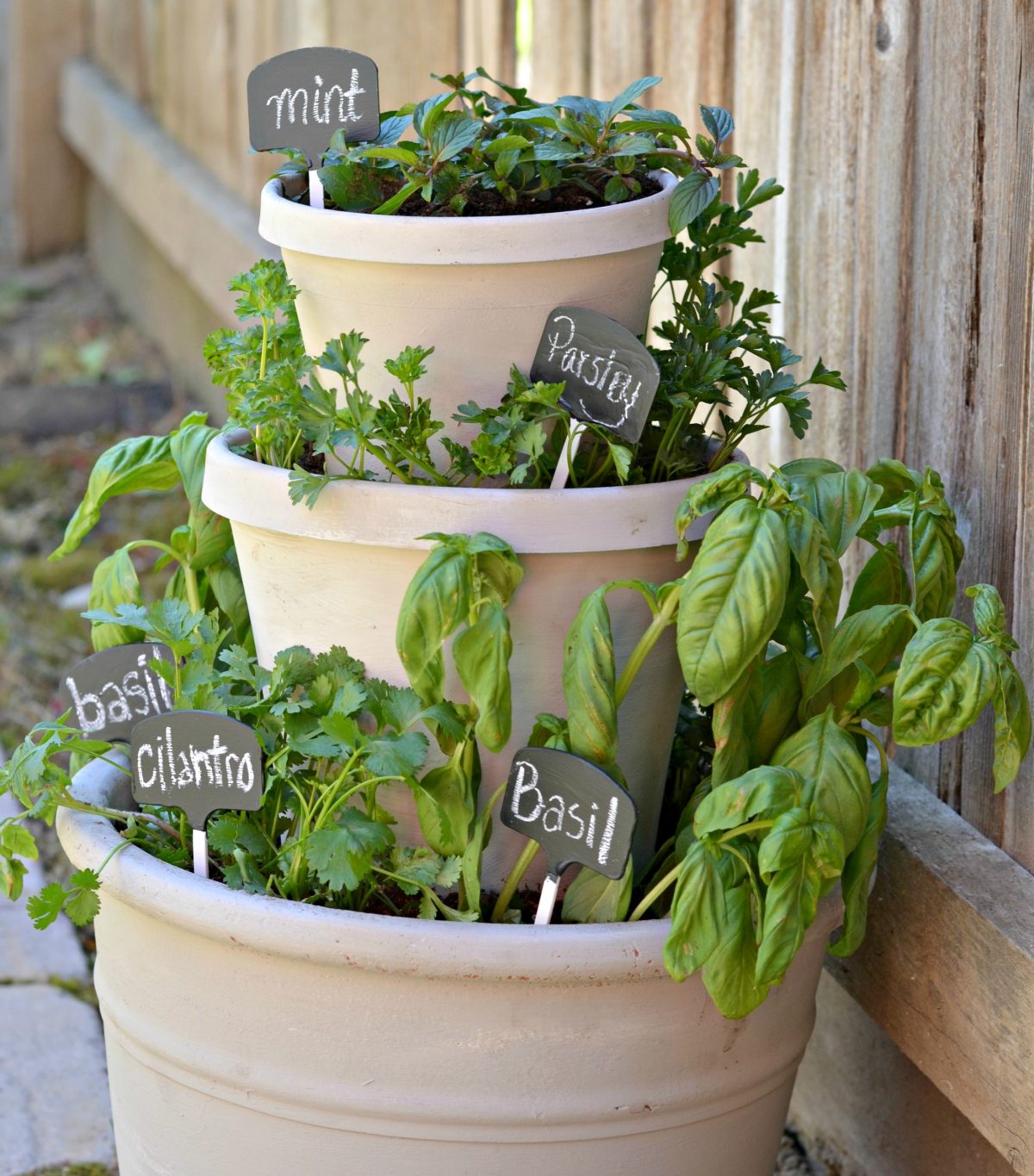 tiered planter with various types of fresh herbs growing inside