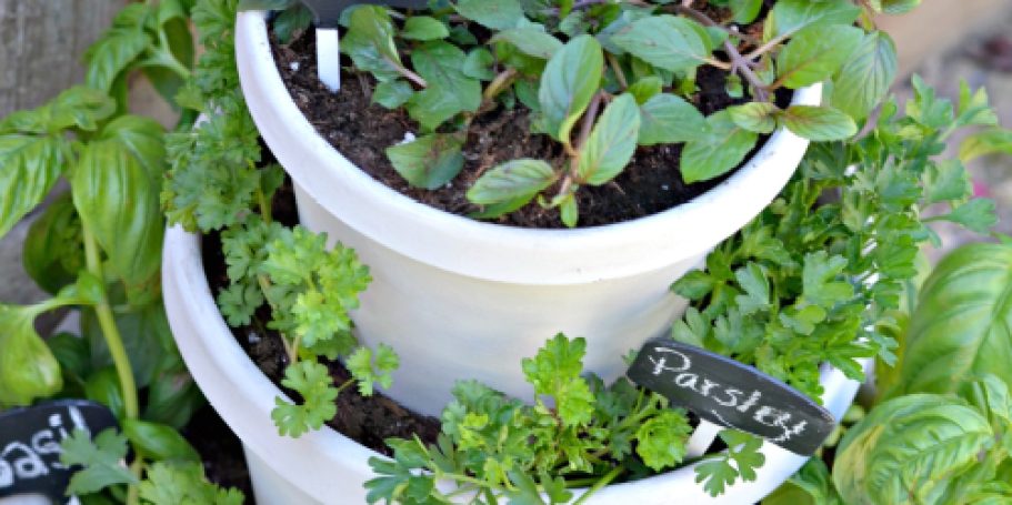 Build a Stacked Garden & Grow Fresh Herbs at Home!