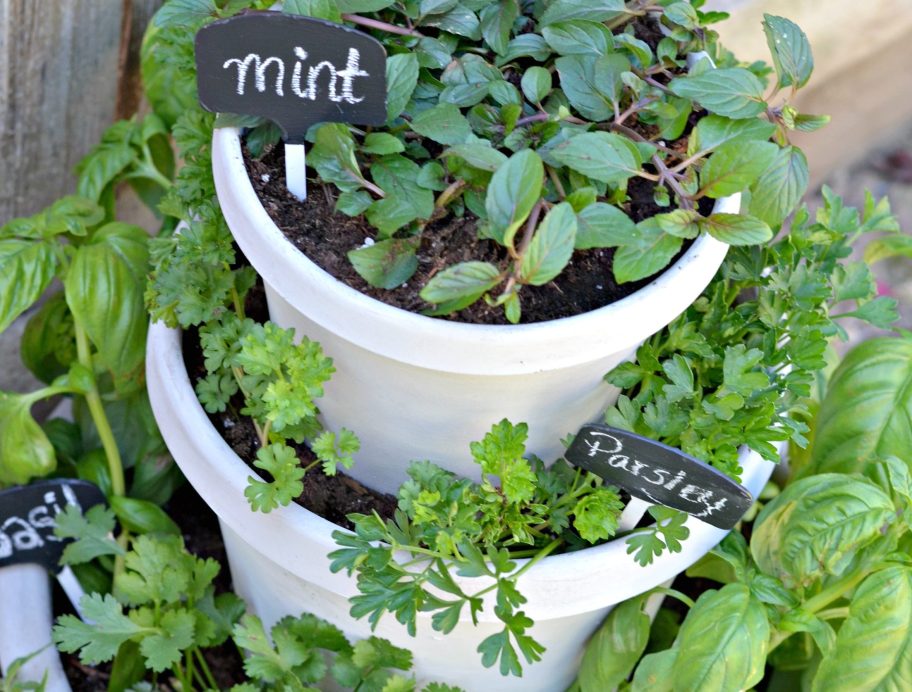 Build a Stacked Garden & Grow Fresh Herbs at Home!