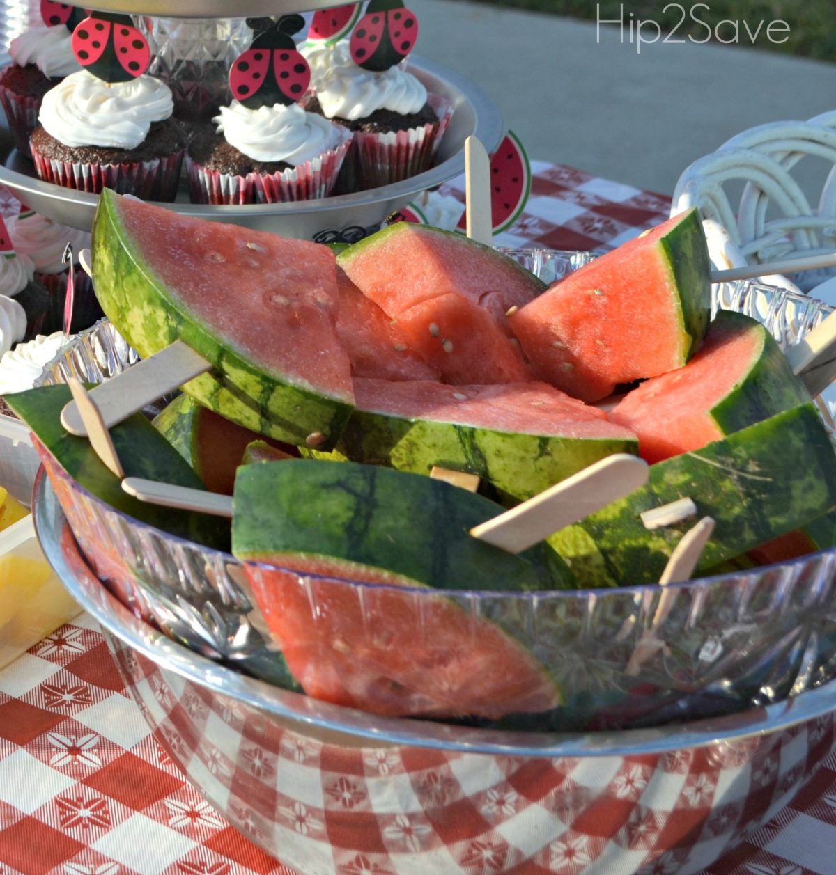 picnic party watermelon on a stick