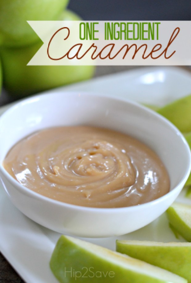 One Ingredient Caramel Hip2Save