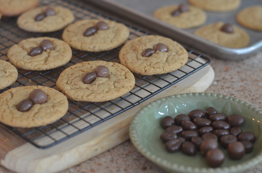 halloween spider cookie recipe