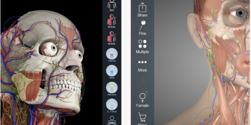 Highly Rated Essential Anatomy 5 iTunes App ONLY 99¢ (a $24.99 Value!)