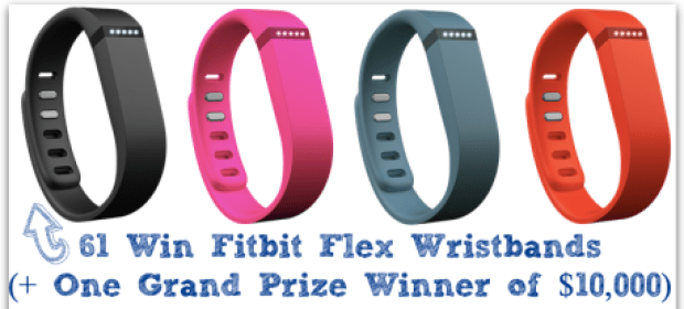 Fitbit Flex Wristbands