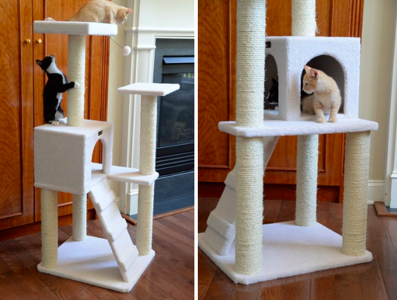 Cat Condo