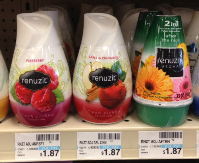 Renuzit Air Freshener CVS