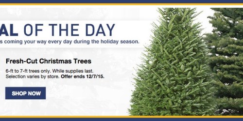 Lowe’s: 25% Off Fresh-Cut Christmas Trees