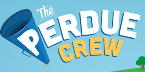 The Perdue Crew: First 500 Score FREE $10 American Express Rewards Cards (Sign up Now)