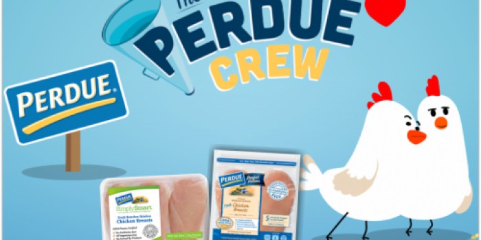 The Perdue Crew: First 500 Score FREE $10 American Express Rewards Cards (Sign up Now)