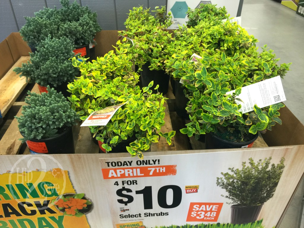 Home Depot Sale