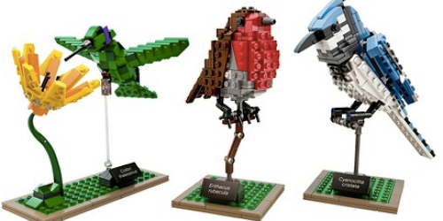 Highly Rated LEGO Ideas Birds Model Kit Only $31.50 (Reg. $44.99)