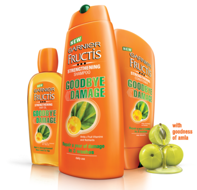 Garnier Fructis