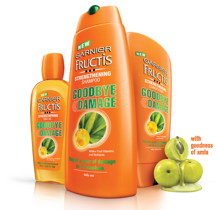 Garnier Fructis