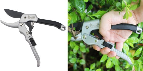 Amazon: Pruning & Garden Shears Only $9.99 (Regularly $15.99)