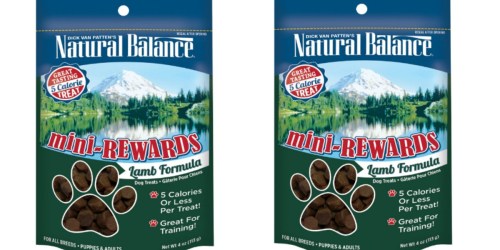 Amazon: Natural Balance Mini-Rewards Dog Treats Only $1.90 Shipped (Regularly $5.99)