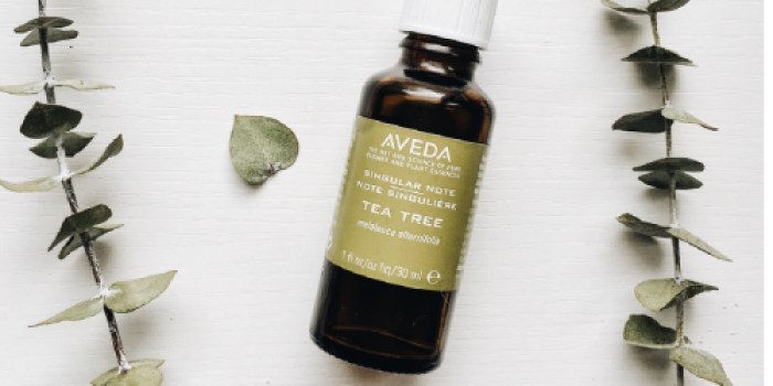 Aveda: Free Travel-Size Hand Creme or Hair Spray AND Free Shipping w/ ANY Purchase