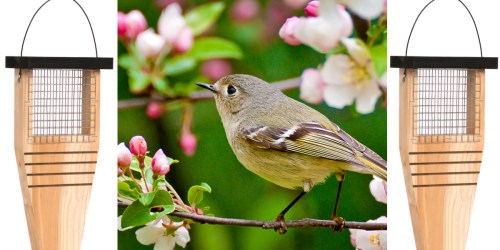 Lowe’s: Garden Treasures Natural Cedar Bird Feeder Possibly Just $4.99 (Regularly $14.99)