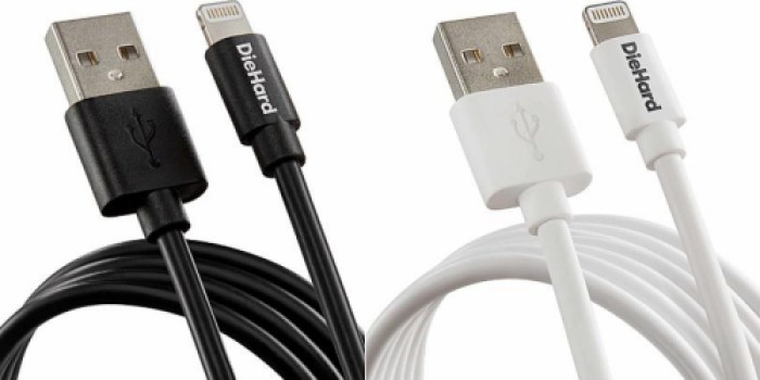 Sears: 100% Back in Rewards Points on Select DieHard Charging Cables & Power Banks