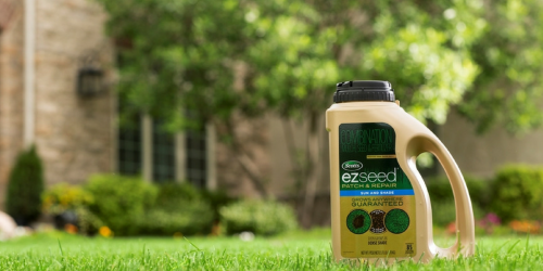 Lowes.online: 50% Off Scotts EZ Seed Products = Fescue Lawn Repair Mix Only $7.74 (Reg. $15)