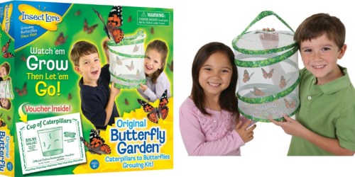 Amazon: 50% Off Educational Toys = Nice Deals on Butterfly Garden, Snap Circuits, K’NEX and More