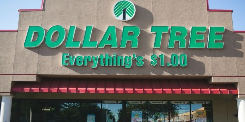 Dollar Tree: Rare 10% Off In-Store Purchase of $10 Or More Coupon (11/20 Only) = Items ONLY 90¢