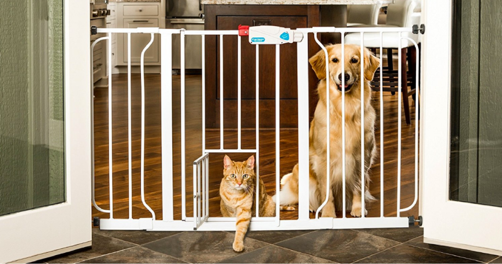 pet-gate