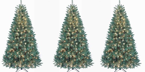 Amazon: 7 Foot Kurt Adler Pre-Lit Point Pine Tree Only $59.99 Shipped (Regularly $174)