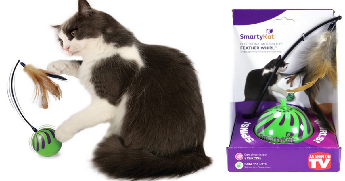 SmartyKat Cat Toy 