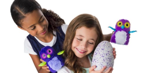 Walmart.online: Hatchimals Hatching Eggs Only $59.99 Shipped (Back in Stock)