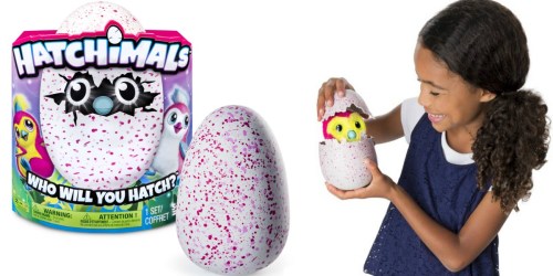 Gamestop.online: Hatchimals Hatching Eggs Only $59.99 (In Stock NOW)