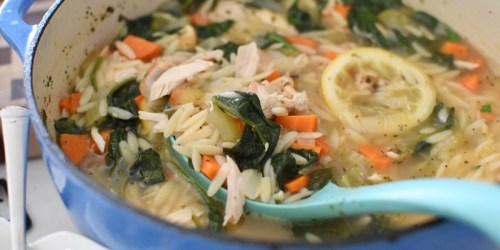 Cozy Up With a Bowl of This onlineforting Chicken Lemon Orzo Soup!