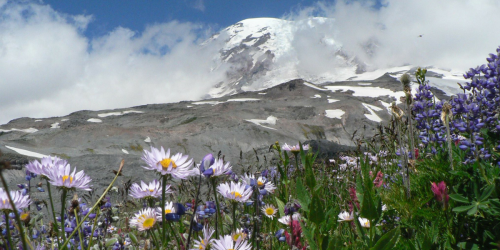 Federal Parks Lifetime Pass For Seniors ONLY $10 – Price Increasing to $80 on August 28th!