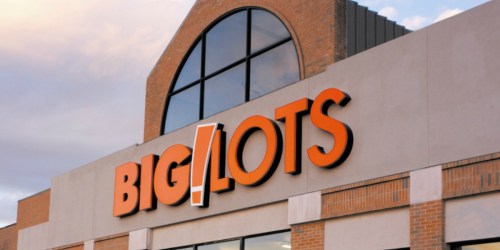 New Big Lots Rewards Program: Earn $5 Off $15 Reward w/ Every 3 Purchases & More