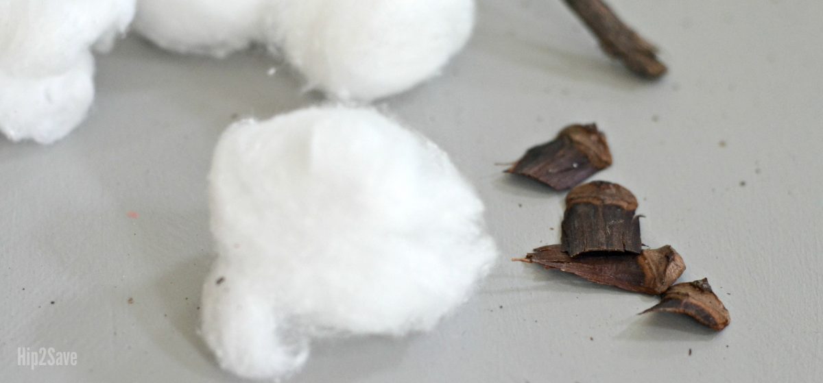 cotton balls and bits of cotton stem