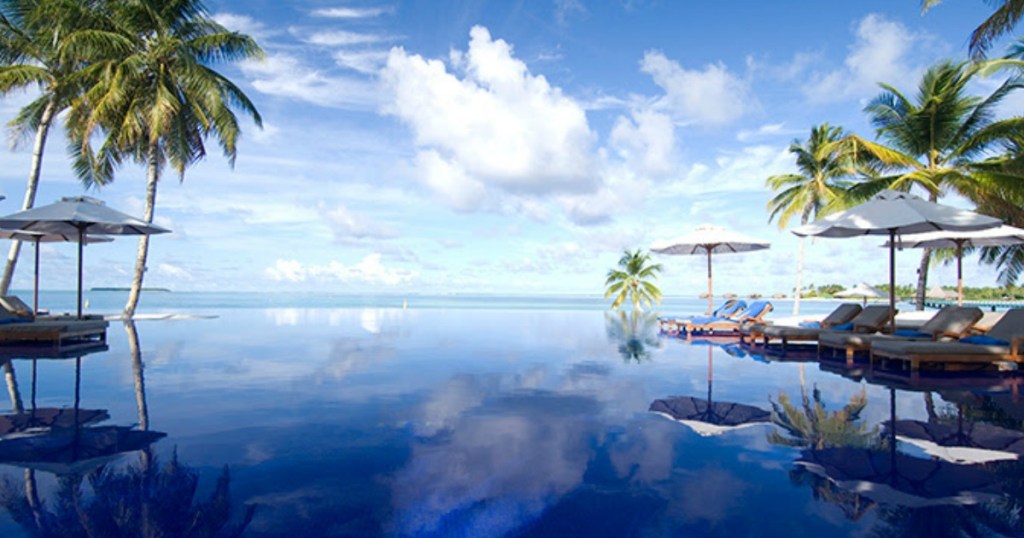 beach area with palm trees and water