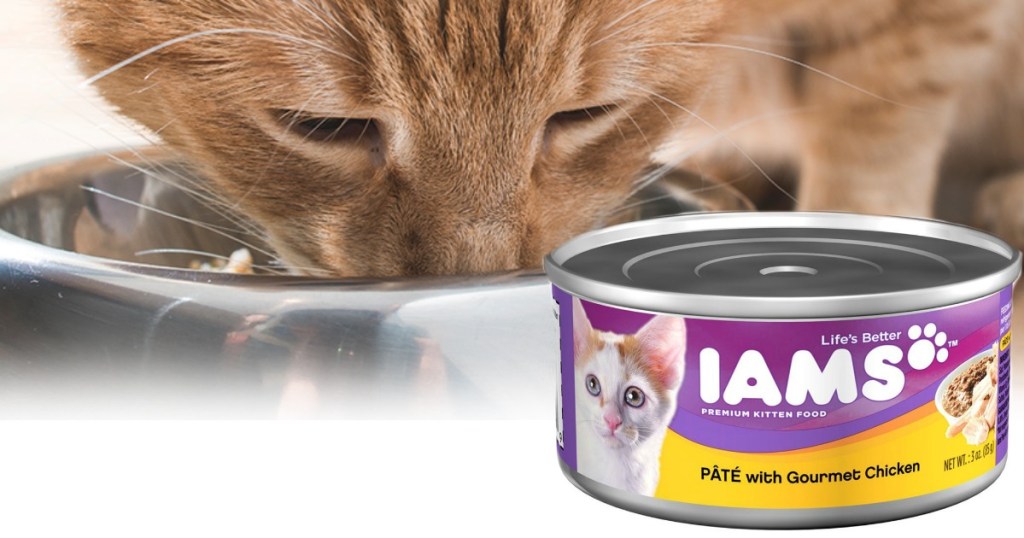 IAMS Pate Canned Cat Food