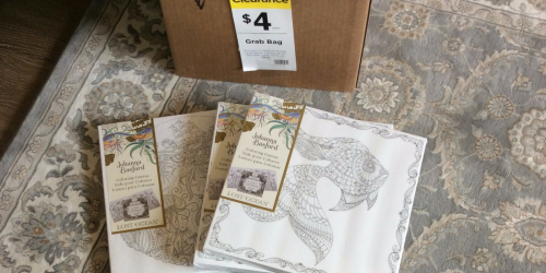 Michaels: Possible $4 Grab Boxes Filled With Canvases