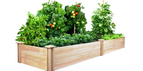 Cedar Raised Garden Bed Only $48.68 (Regularly $80)