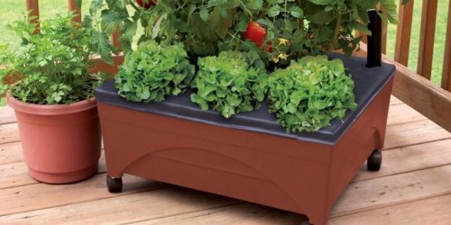 Home Depot: City Pickers Raised Garden Bed Only $19.98 (Regularly $29.97)