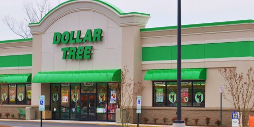 10 FUN Dollar Tree Deals That Don’t Require Coupons