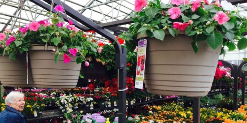 WOW! Hanging Flower Baskets ONLY $5 at Lowe’s (Regularly $12.98)