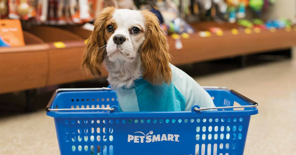 Petsmart Dog