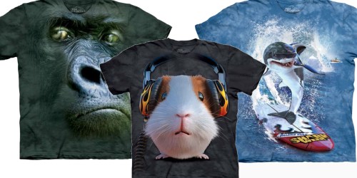 TheMountain.online: FUN Kids’ T-Shirts Only $5 Each (Regularly $16) + Extra 40% Off Clearance