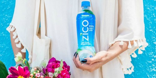 ZICO Gluten Free 100% Coconut Water 12-Pack Only $11.43 Shipped on Amazon (Just 95¢ Per Bottle)