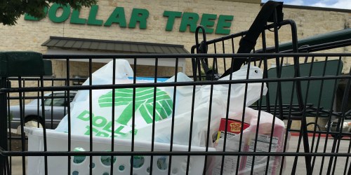 15 Dollar Tree Deals That Don’t Require Coupons (Father’s Day Items, Toys, Laundry Products & More)