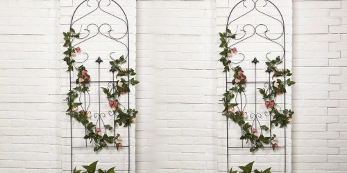 Amazon: Black Iron Garden Trellis ONLY $15.99 (Perfect for Climbing Plants)